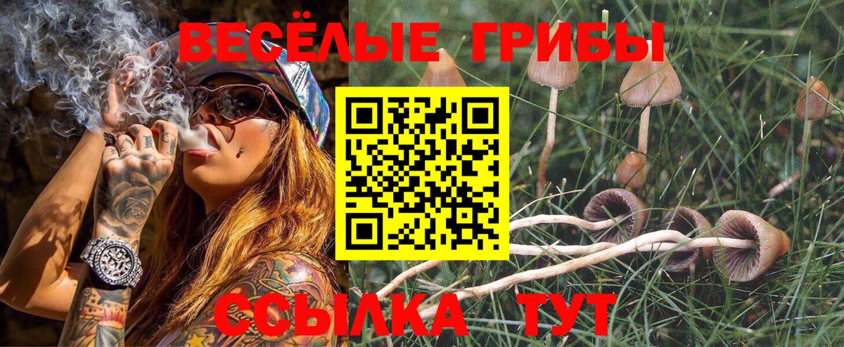 Канск  Псилоцибиновые грибы ЛСД  Вход с VPN 